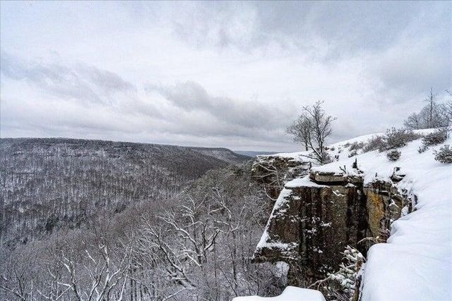 110 Falls Lane, Spencer, TN 38585