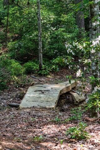 110 Falls Lane, Spencer, TN 38585