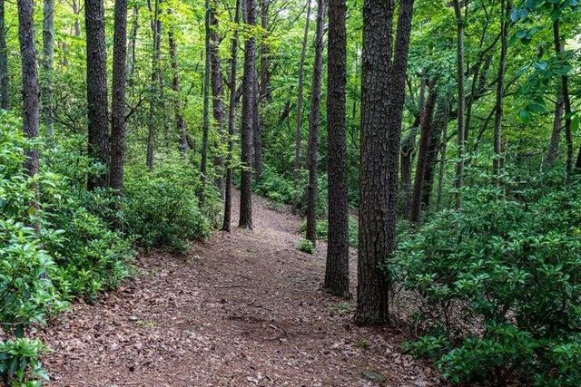 110 Falls Lane, Spencer, TN 38585