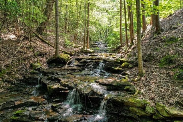 110 Falls Lane, Spencer, TN 38585