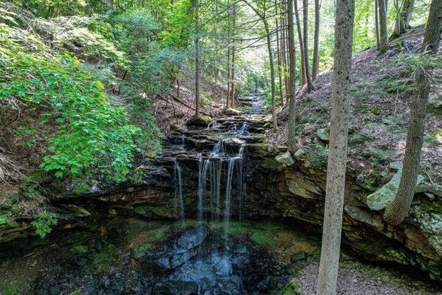 110 Falls Lane, Spencer, TN 38585