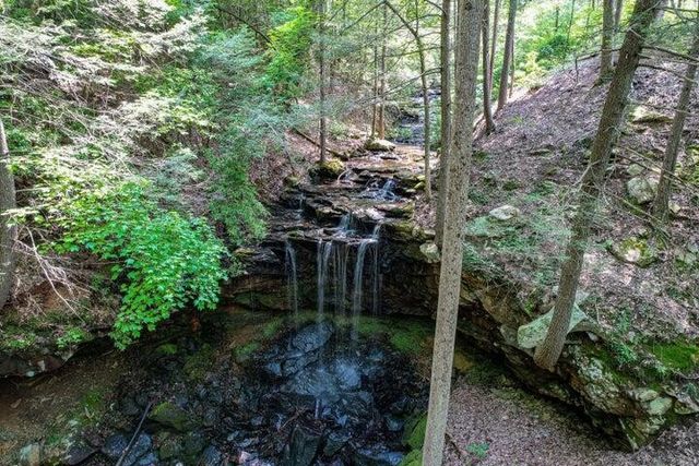 110 Falls Lane, Spencer, TN 38585