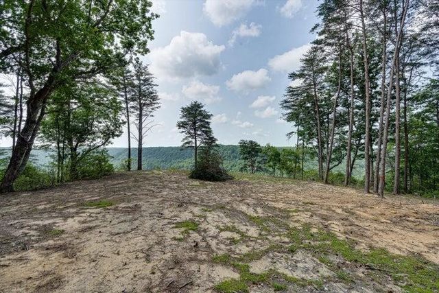 110 Falls Lane, Spencer, TN 38585