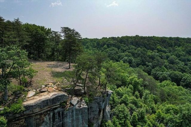 110 Falls Lane, Spencer, TN 38585