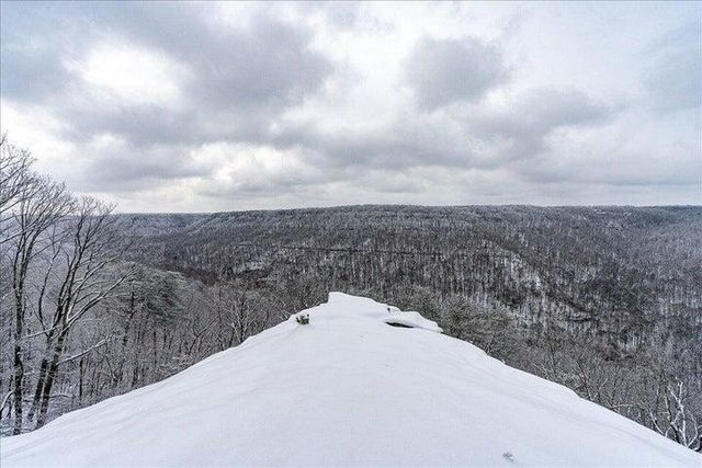 110 Falls Lane, Spencer, TN 38585