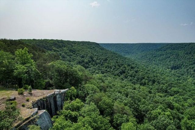 110 Falls Lane, Spencer, TN 38585