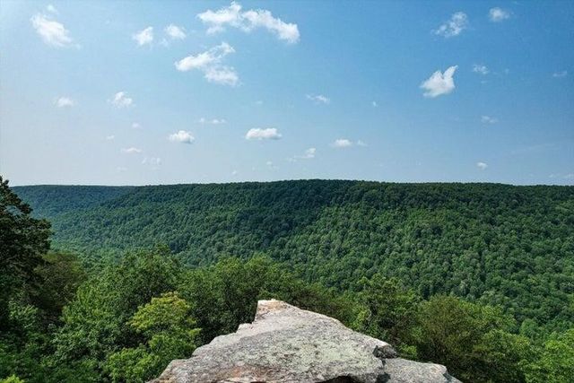 110 Falls Lane, Spencer, TN 38585