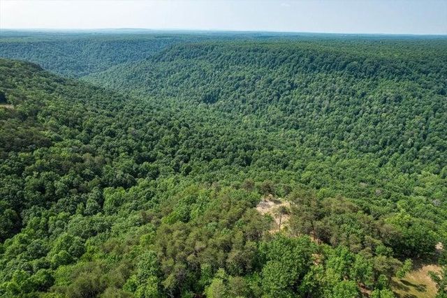 110 Falls Lane, Spencer, TN 38585