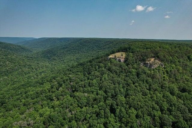 110 Falls Lane, Spencer, TN 38585