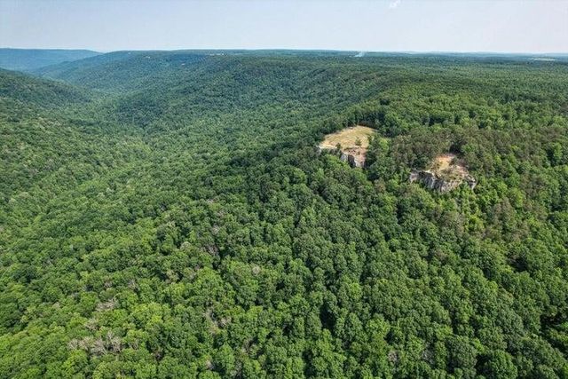 110 Falls Lane, Spencer, TN 38585