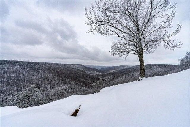 110 Falls Lane, Spencer, TN 38585