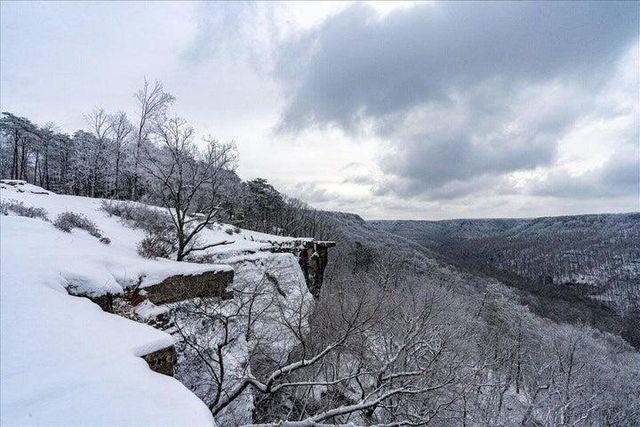 110 Falls Lane, Spencer, TN 38585