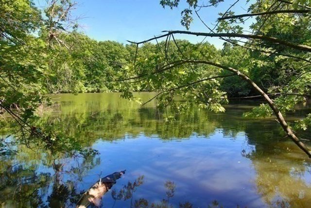 99 Pond Avenue PH804, Brookline, MA 02445