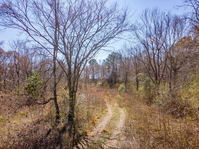 120 S Green Pasture, Shepherd, TX 77371