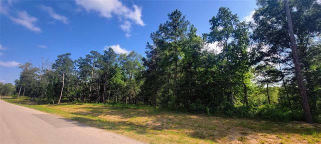 1595 County Road 632, Dayton, TX 77535