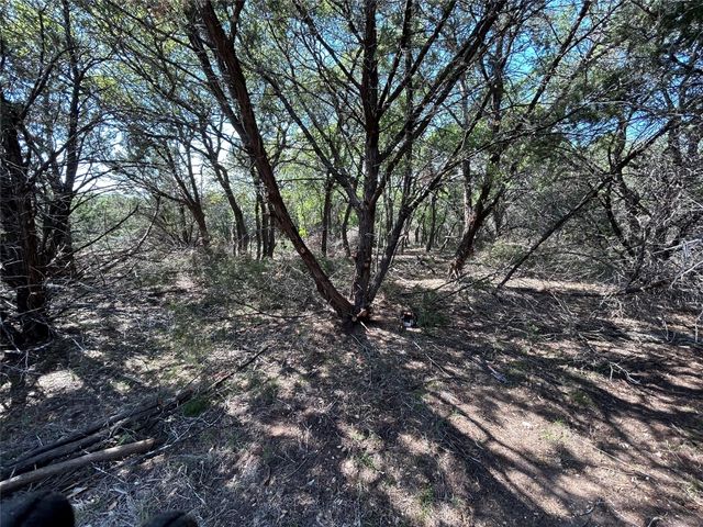 22300 Briarview DR, Spicewood, TX 78669