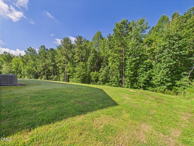 110 Symmetry Loop, Youngsville, NC 27596