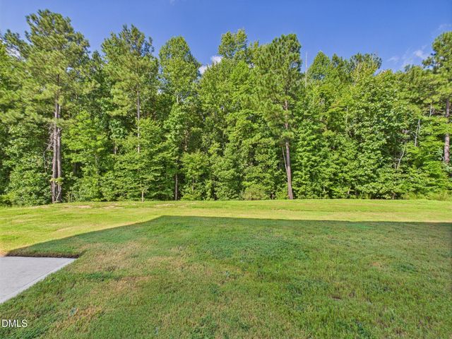 110 Symmetry Loop, Youngsville, NC 27596