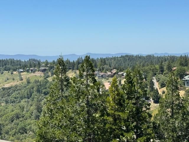 1138 Heather Dr, Murphys, CA 95247