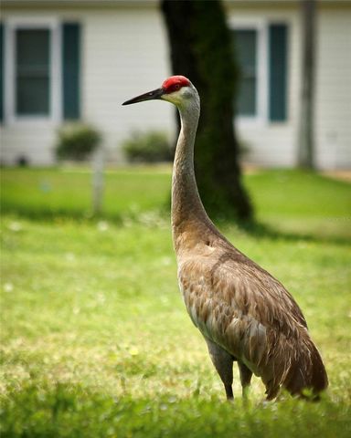 11283 SW 139TH PLACE, Dunnellon, FL 34432