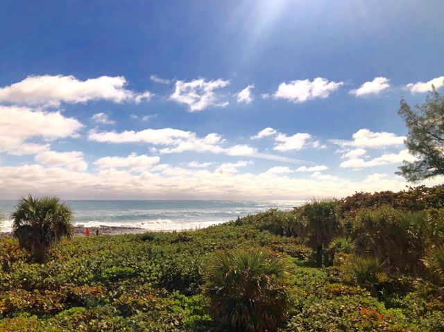 4000 N Ocean Drive 902, Singer Island, FL 33404