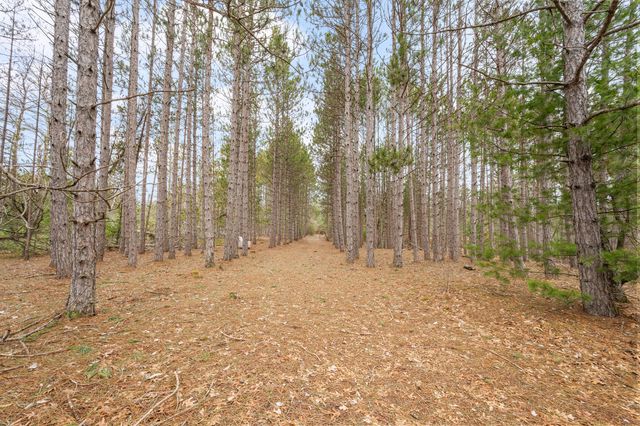 6700 S 230th Avenue, Lincoln Twp-osceola, MI 49677