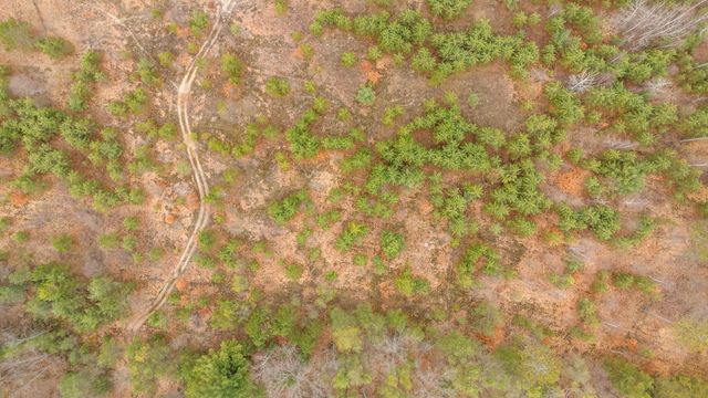 6700 S 230th Avenue, Lincoln Twp-osceola, MI 49677