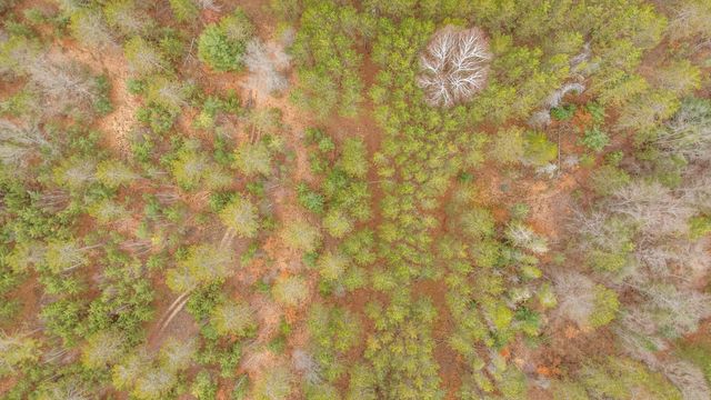 6700 S 230th Avenue, Lincoln Twp-osceola, MI 49677