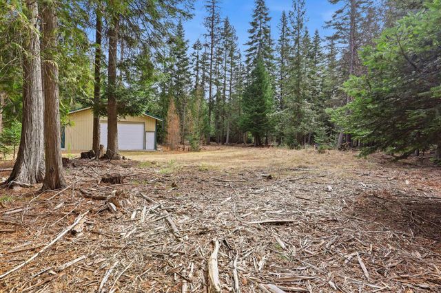 119 Gray Eagle Ln, Newport, WA 99156