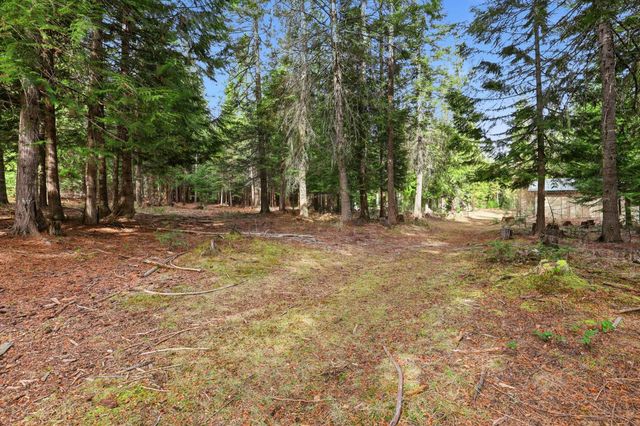 119 Gray Eagle Ln, Newport, WA 99156