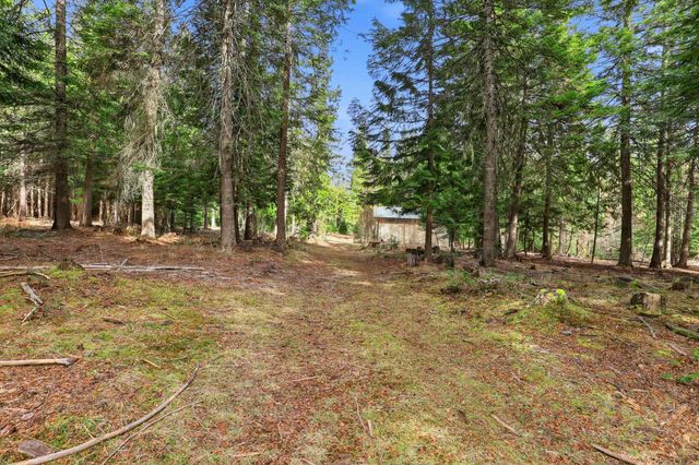 119 Gray Eagle Ln, Newport, WA 99156