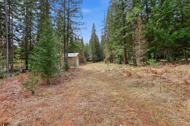 119 Gray Eagle Ln, Newport, WA 99156