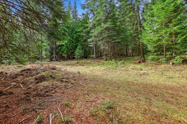 119 Gray Eagle Ln, Newport, WA 99156