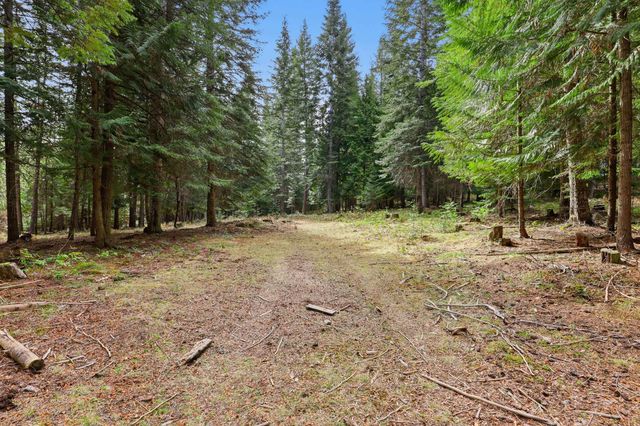 119 Gray Eagle Ln, Newport, WA 99156