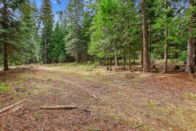 119 Gray Eagle Ln, Newport, WA 99156