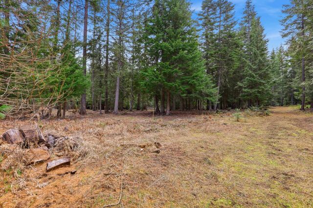 119 Gray Eagle Ln, Newport, WA 99156