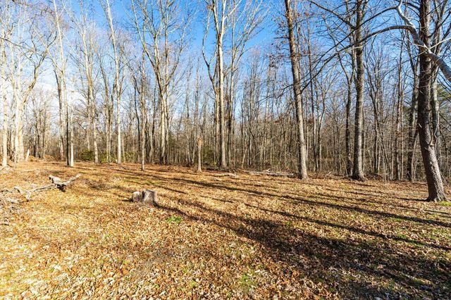 123 Powers Lane, Pikeville, TN 37367