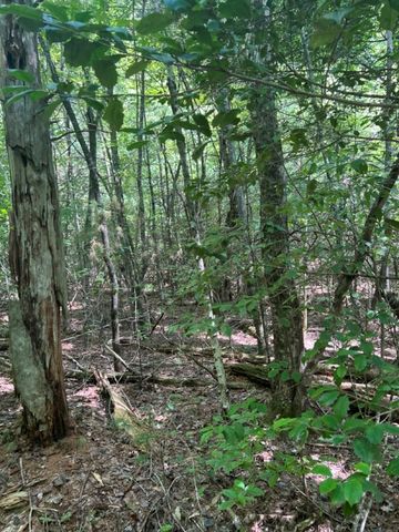 Lot 6&7 Donley Road, Murphy, NC 28906