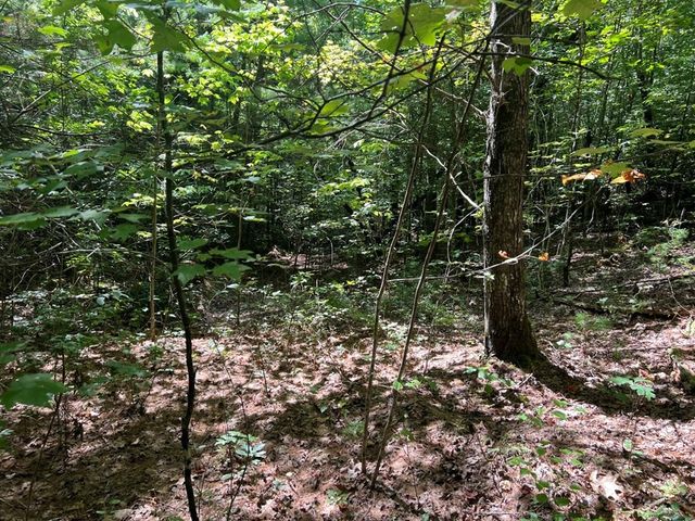 Lot 6&7 Donley Road, Murphy, NC 28906