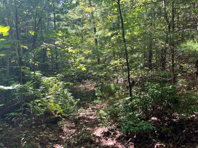 Lot 6&7 Donley Road, Murphy, NC 28906