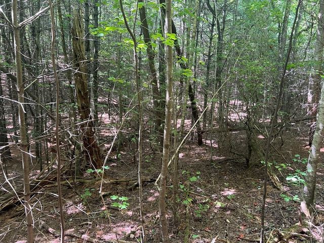 Lot 6&7 Donley Road, Murphy, NC 28906