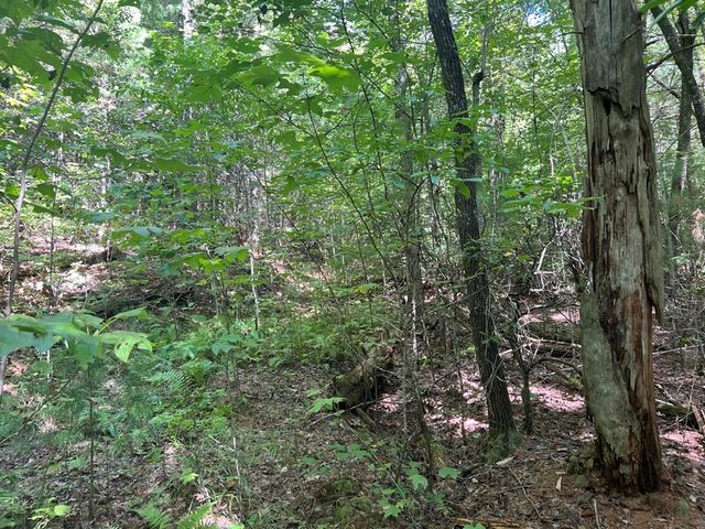Lot 6&7 Donley Road, Murphy, NC 28906