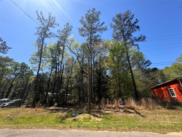 TBD River Jordan Drive, Shepherd, TX 77371