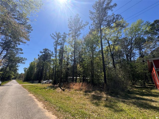 TBD River Jordan Drive, Shepherd, TX 77371