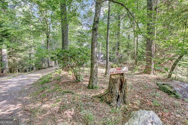 450 Flat Creek Circle, Blue Ridge, GA 30513
