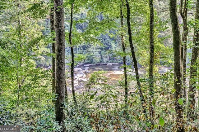 450 Flat Creek Circle, Blue Ridge, GA 30513