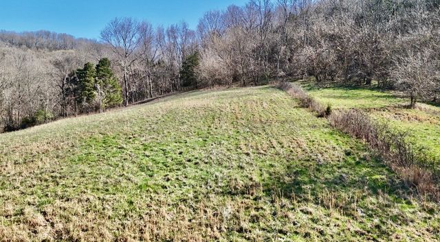 0 Browning Branch Road, Bethpage, TN 37022