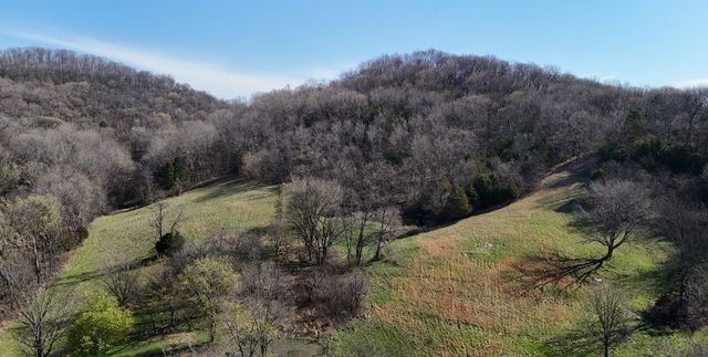 0 Browning Branch Road, Bethpage, TN 37022