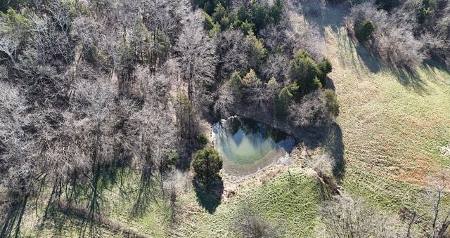 0 Browning Branch Road, Bethpage, TN 37022