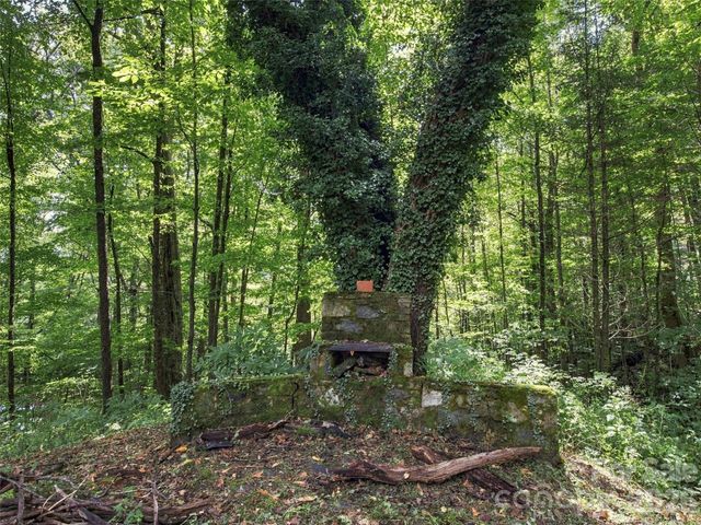 151 Tiger Lily Lane, Waynesville, NC 28786